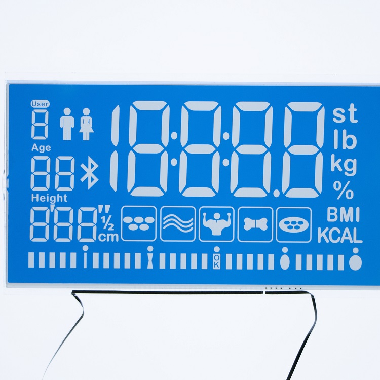 TN貼藍(lán)色片段碼屏 TN貼藍(lán)色片段碼屏